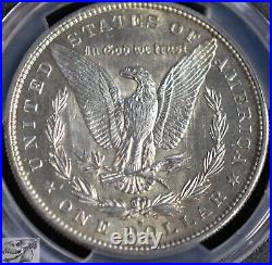 1879 S Morgan Dollar, PCGS UNC Details, Cleaned, Prooflike Fields, White, C6751