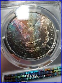 1882 CC Morgan Dollar Ms 65+ Pcgs Rainbow Toned Monster