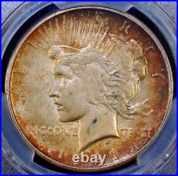 1921 Peace Silver Dollar PCGS AU53 Almost Uncirculated Key Date Toned CAC