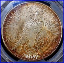 1921 Peace Silver Dollar PCGS AU53 Almost Uncirculated Key Date Toned CAC